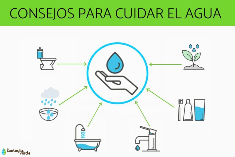 7 Formas Divertidas De Cuidar El Agua En La Escuela Para Niños: ¡Ayuda