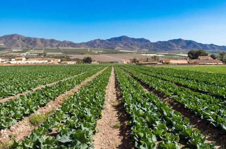 Agricultura Tradicional Descubre Los Principales Lugares Donde Se Cultiva De Manera Tradicional 6029